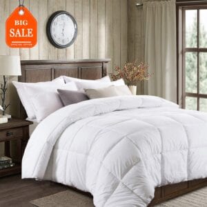Basic Beyond All-Season Goose Down Comforter (Queen) - Premium Down Duvet Insert with Hypoallergenic Down Proof Cotton Shell