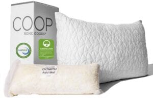 Coop Home Goods – Cross Cut-Hypoallergenic Certipur Memory Foam with Washable Removable Cooling Bamboo