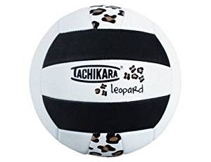 Tachikara No-sitting Volleyball
