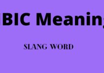 HBIC Meaning – What does HBIC Mean?