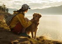 6 Reasons Why Hiking or Backpacking is Good For Your Dog
