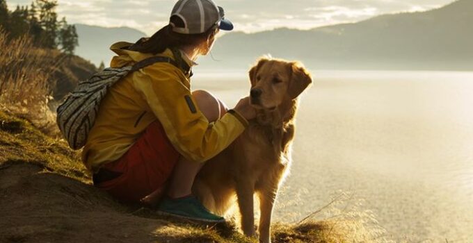 6 Reasons Why Hiking or Backpacking is Good For Your Dog
