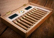 5 Tips for Choosing the Right Cigar Humidor For a Present