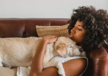 6 Reasons Why Life Is Just Better With a Dog