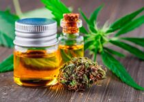 How can you tell if CBD is high-quality – 2021 Guide